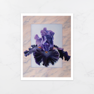 Black Iris - Print
